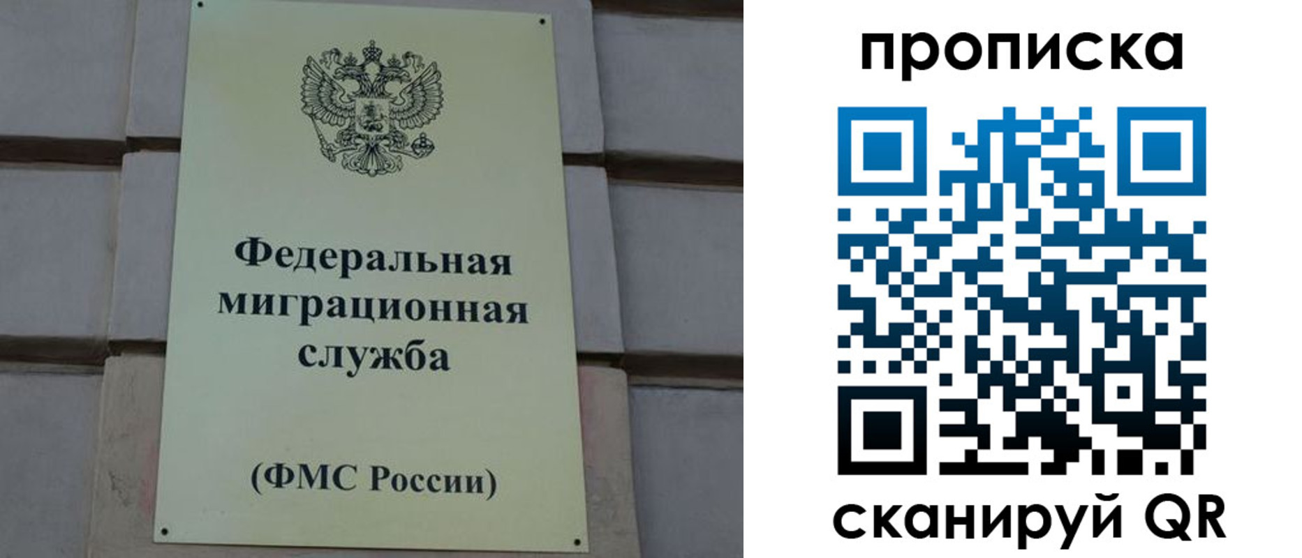 прописка поиск в Черноголовке